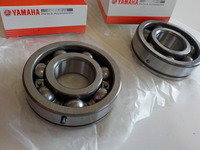 DSCN6478
