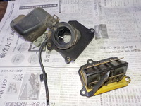 DSCN6958