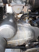 DSCN6598