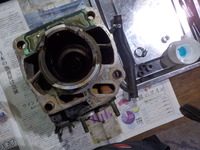 DSCN0239