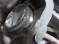 DSCN3417