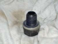 DSCN5404
