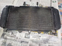 DSCN7505