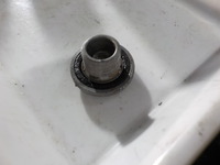 DSCN6799