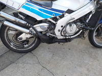 DSCN6522