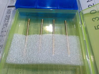 DSCN2316