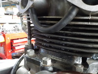 DSCN4285