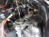 DSCN5920