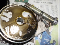 DSCN3754