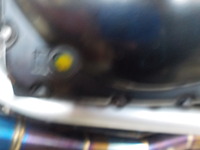 DSCN5771