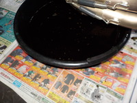 DSCN4681