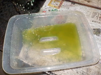 DSCN9501