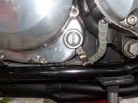 DSCN8178