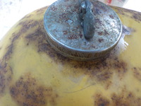 DSCN0271