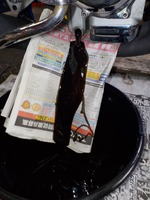 DSCN4436
