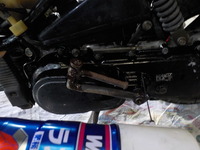 DSCN0740