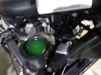 DSCN5274
