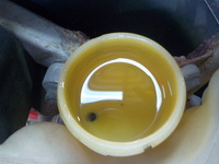 DSCN4084