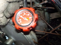 DSCN6486