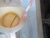 DSCN1417