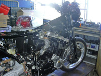 DSCN4953_edited