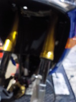 DSCN8337
