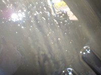 DSCN6107