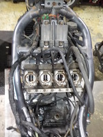 DSCN6373