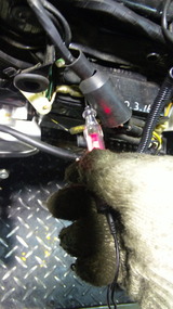 monky-china201205001ws (2)