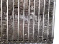 DSCN4625