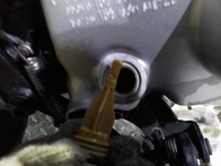 DSCN5339
