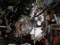 DSCN8208