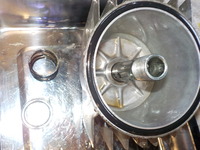 DSCN6715