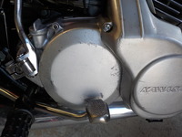 DSCN7304