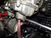 DSCN5906