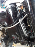 DSCN4488
