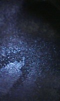 Photo_11