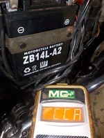 DSCN0981