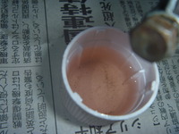 P1070048