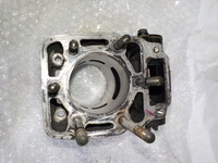 DSCN3780 (2)