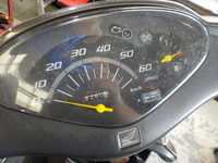 DSCN5072