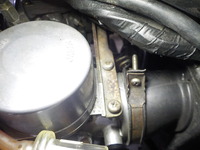 DSCN8520