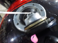 DSCN6165