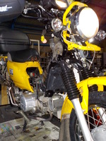 DSCN8537