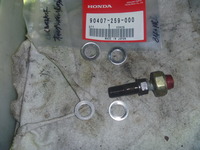 P1010381