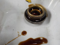 DSCN8299