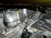 DSCN6276