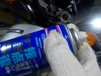 DSCN4173