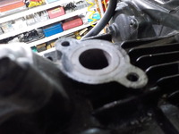 DSCN4256