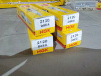 DSCN4516